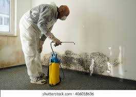 Best Asbestos and Lead Testing During Mold Inspection  in USA